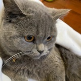 李露遥W
