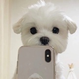 樱桃碳水