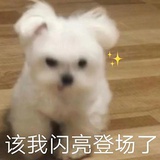 受戒