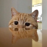 奇马