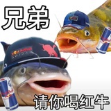 杀我春在野