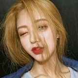 失去灵魂的猫