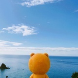 京酱迪莫