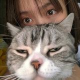 对决