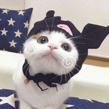 2％