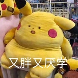 小猪饭饭