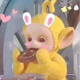 木须柿子