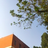 HCL