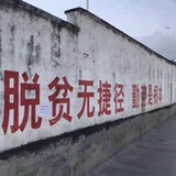 losmsf
