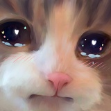 火炭Lychee