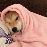 。