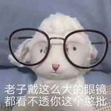 流浪羊羊在读书