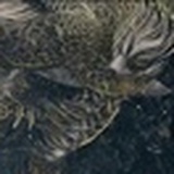 暗里着迷慧
