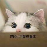 水果大乱炖