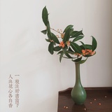 南国折枝客