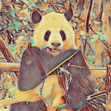 Jerry Chen