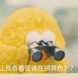 讲太多我懒得看