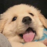 来往