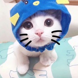 渡边麻佑