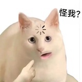 在路上
