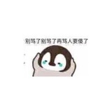 什么