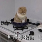 球球大作战