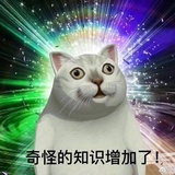 呛口小辣🐷
