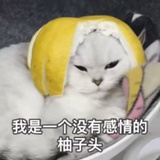 没感情的柚子头