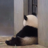 今天也要加油！