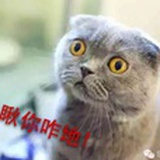 驱寒暖心