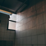 PN