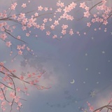 豆友166956134