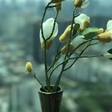 细肥