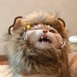 (￣^￣)ゞ