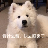 还不睡吗