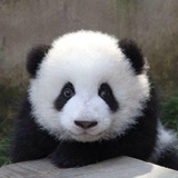 听时间会说话