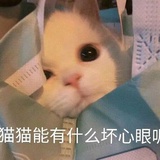 猫咪就是天使