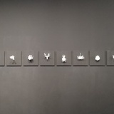 尔尔浮生
