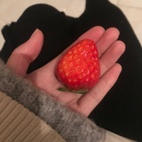 养兔子的猪