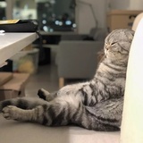 萧琉