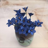 子龙花卉折纸