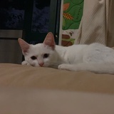 小孙