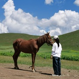 Melly-339