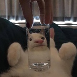 哈哈哈