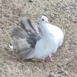 十月览