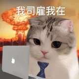 在布达佩斯划船