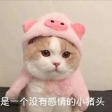 秋色向南