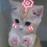 温柔意中人