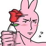 木槿