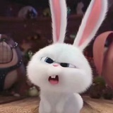 没有名字的🐰